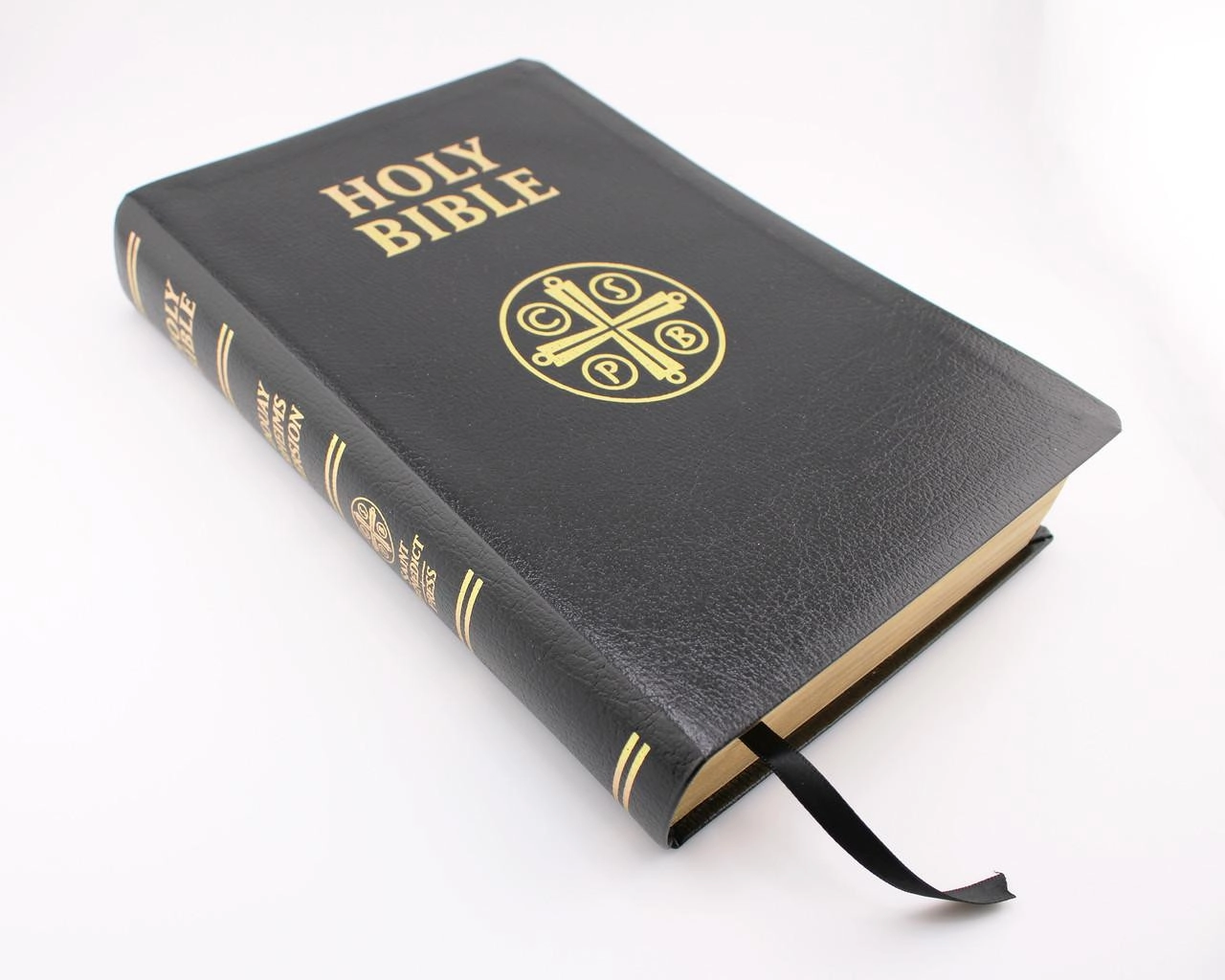 The Douay-Rheims Bible